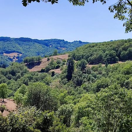 Maison Charmante A Florentin La Capelle Avec Jardin Et Vue Montagne 외부 사진